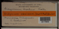 Image Associated With the Occurence